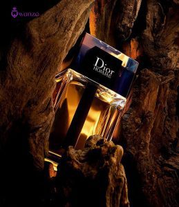 عطر ادکلن دیور هوم اینتنس | Dior Homme Intense 4