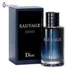 عطر دیور ساواج (ساوج-ساواژ) | Dior Sauvage 3